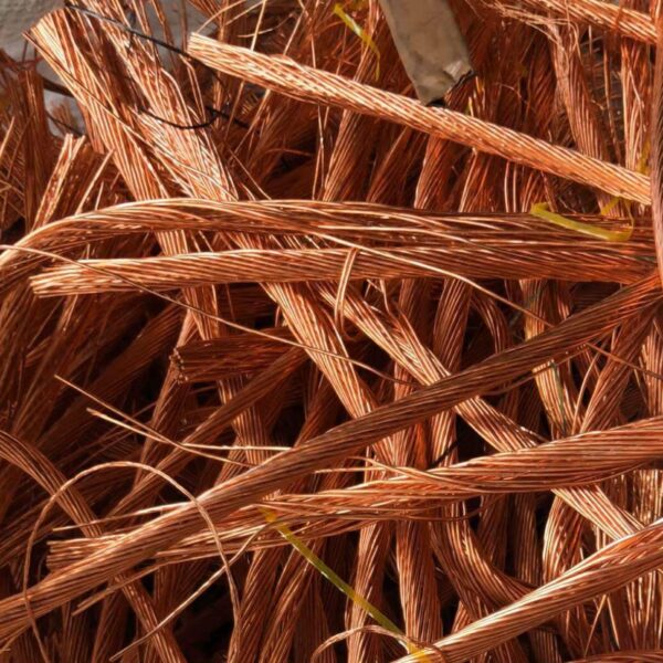 Wholesale Price Copper Millberry - Image 5